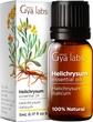 Helichrysum