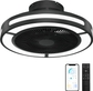 19'' Black Ceiling Fan