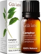 Camphor