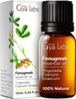 Fenugreek