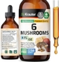 6 Mushrooms Supplement