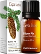 Silver Fir