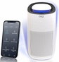 Whole house air purifiers