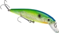 Citrus Shad