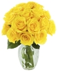 Yellow Rose