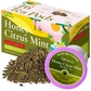 Citrus Mint Herbal