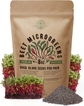 Beet Microgreen Seeds - 8oz