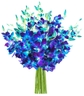 Blue Orchid