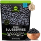 Dried Blueberries