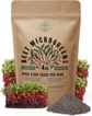 Beet Microgreen Seeds - 4oz