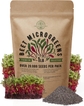 Beet Microgreen Seeds - 1lb